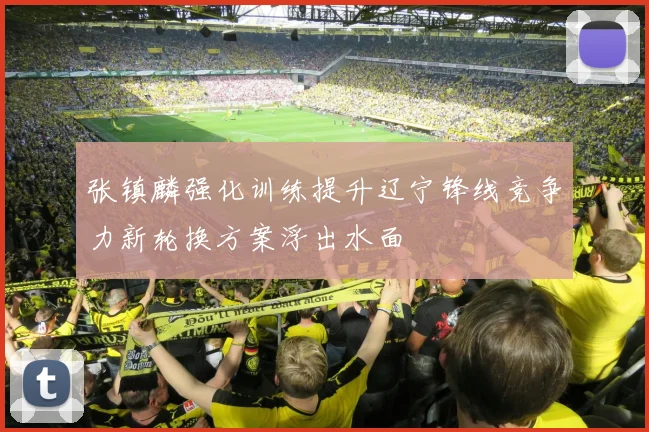 张镇麟强化训练提升辽宁锋线竞争力新轮换方案浮出水面